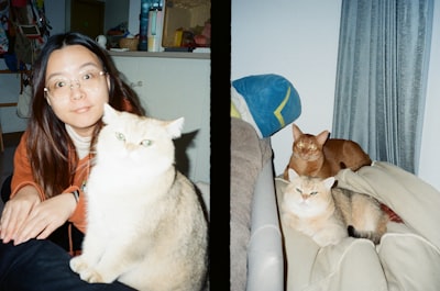 2026新能源汽车行业解读：极氪智能驾驶系统全面解析