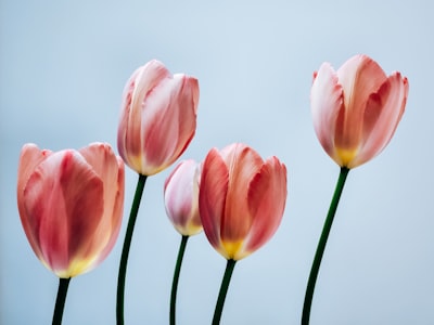 2026智能汽车行业解读：奔驰新能源车与九游会j9智能驾驶系统全面解析