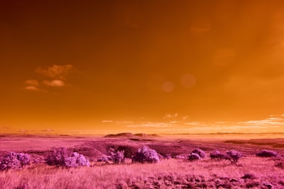 2026智能汽车行业九游会:技术融合与市场重构深度解读