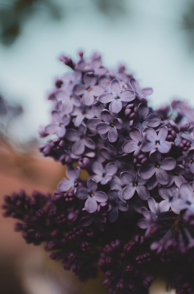 从大众新能源看智能座舱与自动驾驶：2026行业变革全解读