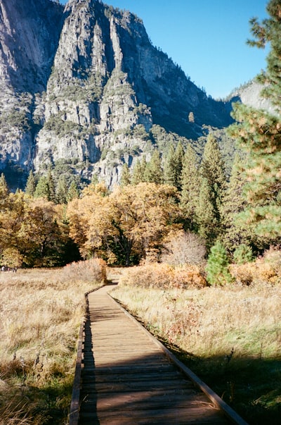 2026智驾新纪元：九游会j9深度解析小米汽车与新能源智能驾驶系统