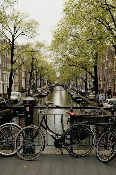 九游会解析汽车智驾纯视觉方案：数据揭示的感知革命