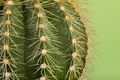 九游会视角：奔驰三电技术如何以驾驶算法重塑豪华电动体验