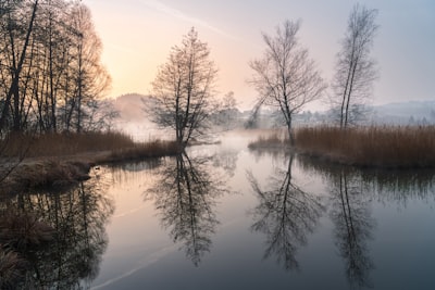 九游会深度解读：蔚来汽车AI智驾与车载信息娱乐系统如何重塑新能源出行